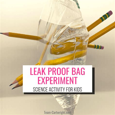 leak proof bag experiment|Leak Proof Bag Experiment